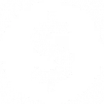 Dollar Sign Icon